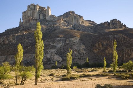 Rio de las Manos: Canyonlandschaft mit Pappeln nahe der Cueva de las Manos
